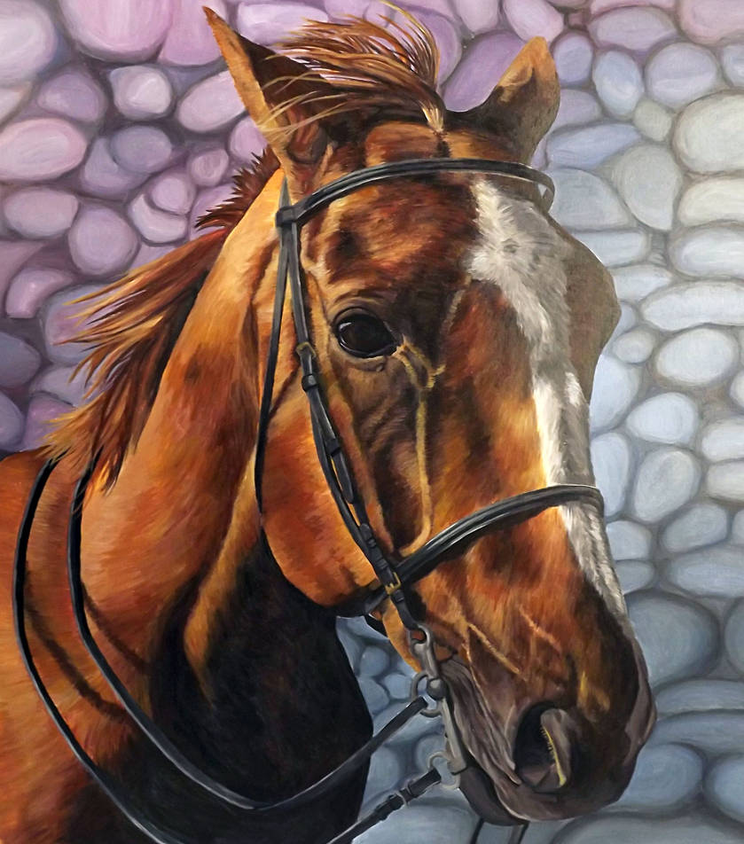 Horse portrait with Background 2