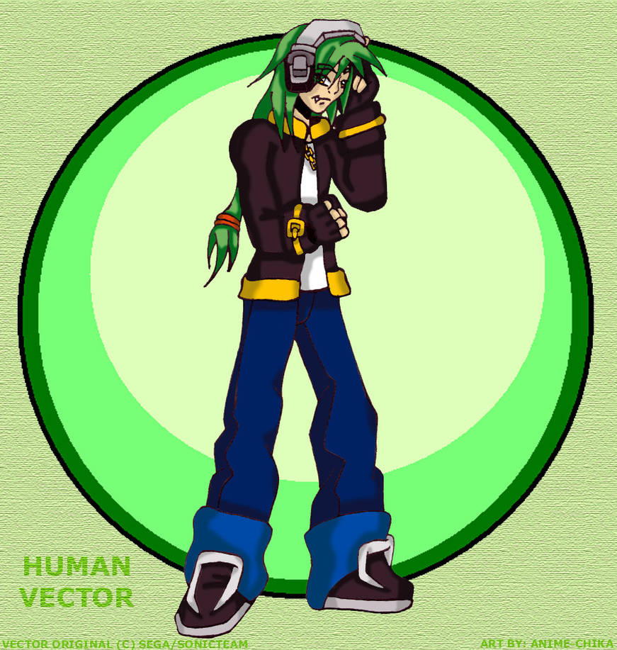 Human Vector by LillithMalice on DeviantArt