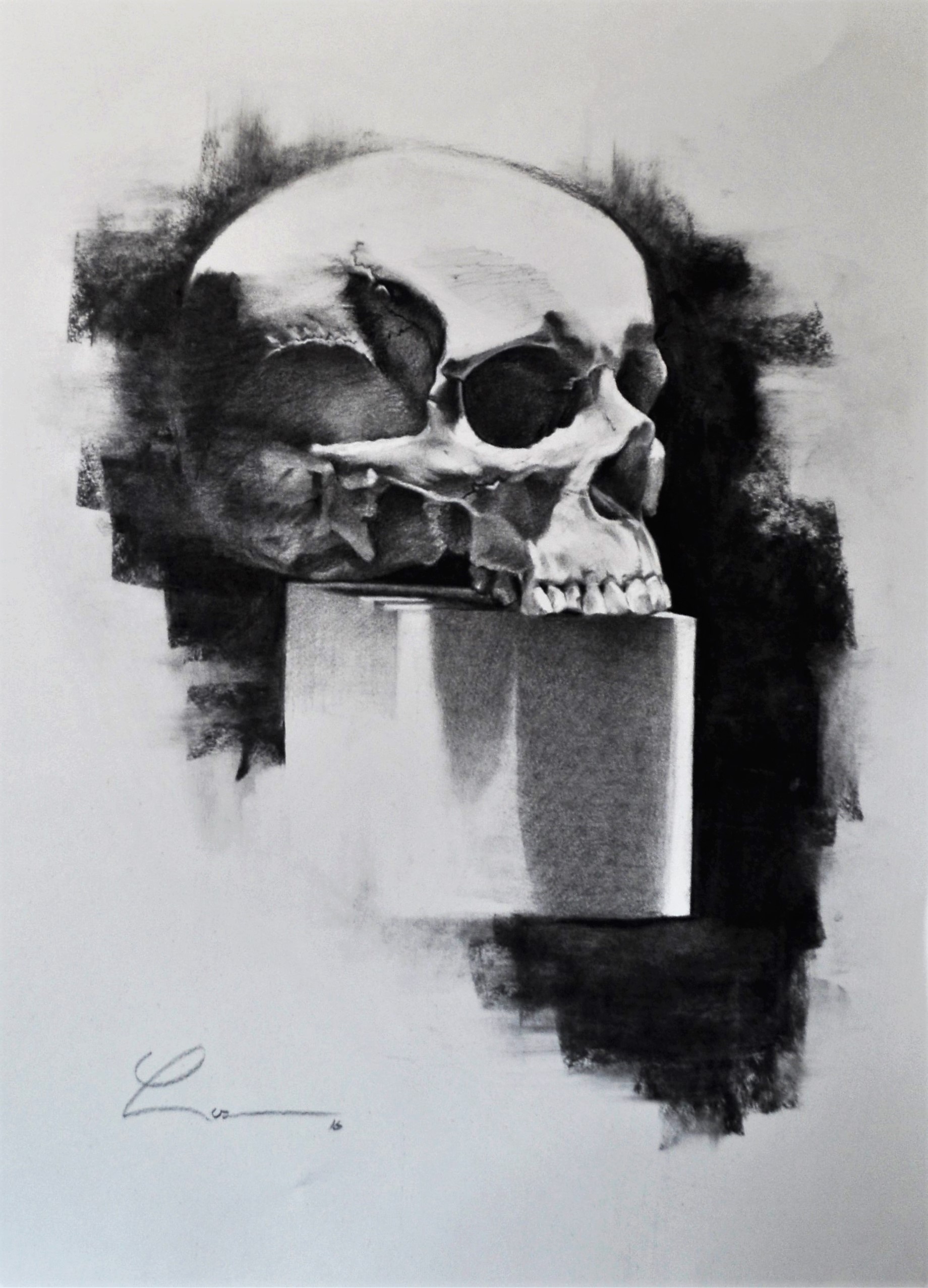 skull drawing Charcoal on paper by Paulo Luz by Paulo-Luz-Art on