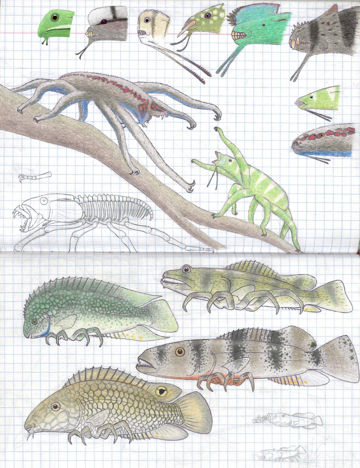 Octodactylopods and spiderfishes by Preradkor
