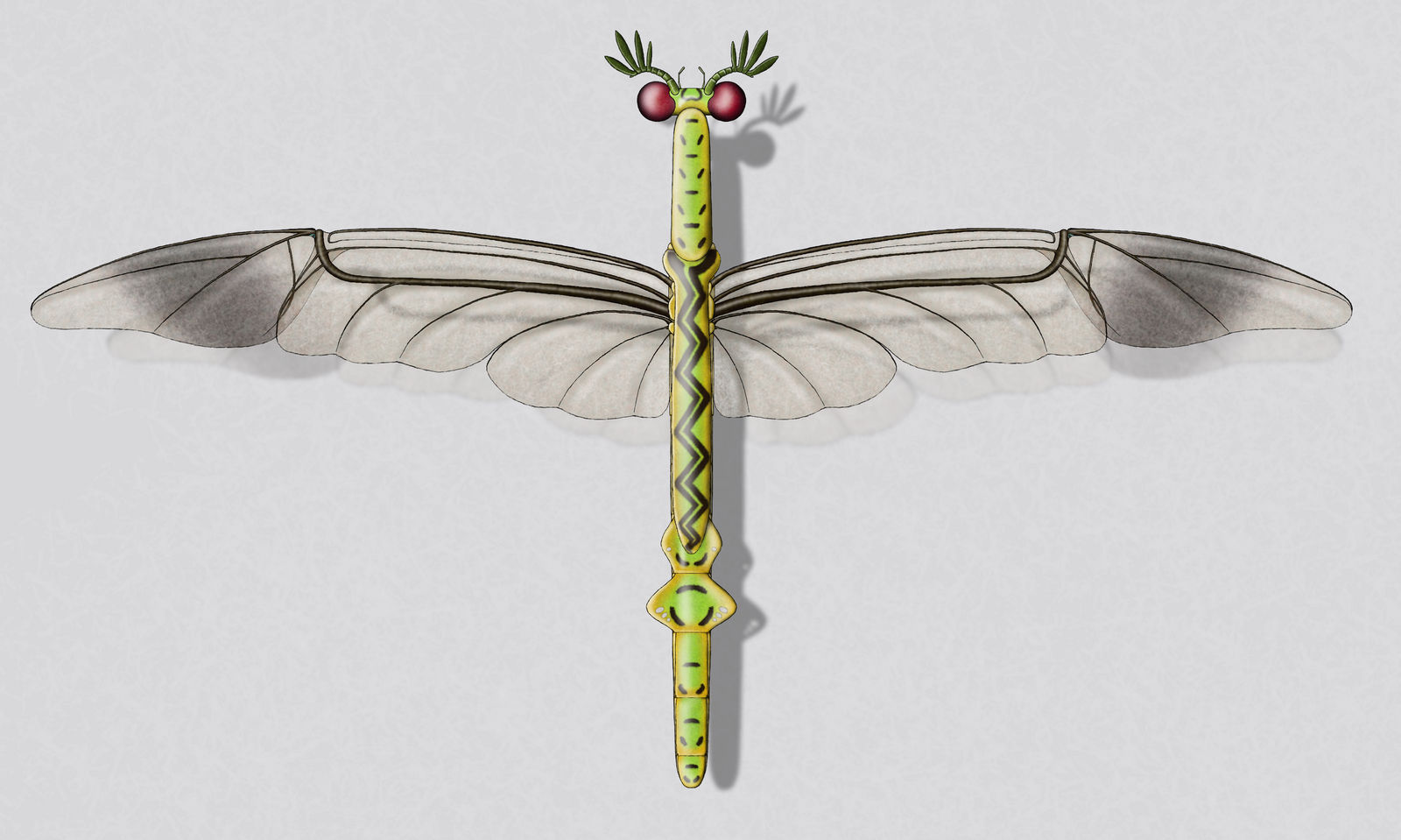 Dragon Bone Rattle Rattle dragonbeetle by Preradkor on DeviantArt