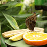 Butterfly on fruit
