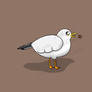 Singing-Shouting Seagull