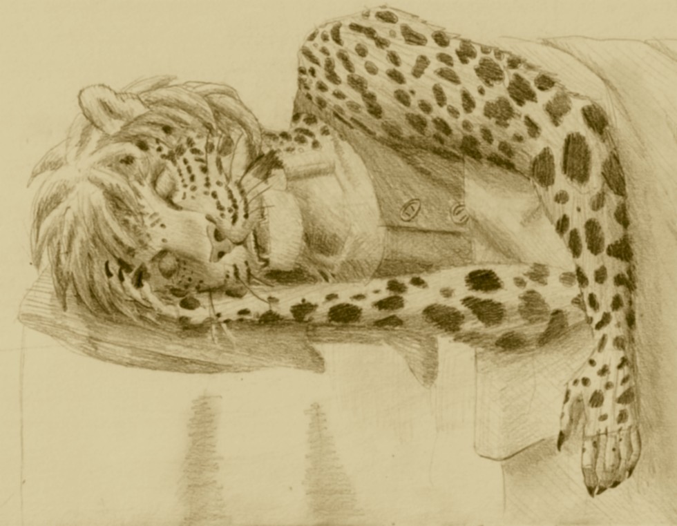 Sleeping Jaguar