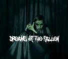 Dreams of the fallen...