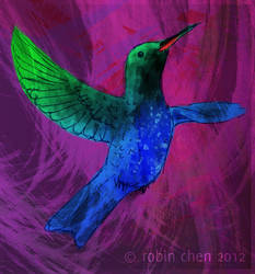 EA Project 12: Sapphire-bellied Hummingbird
