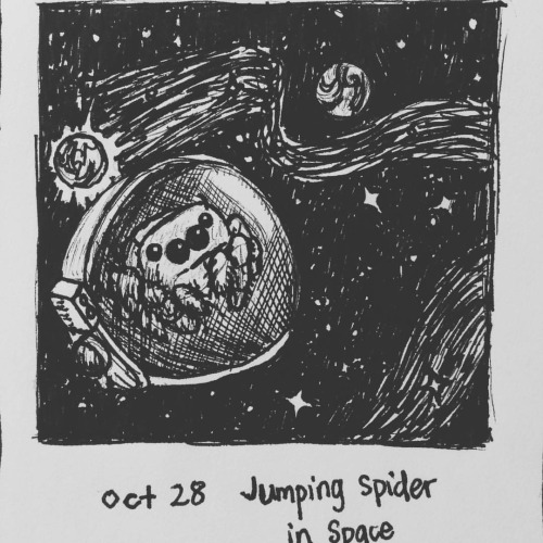 Inktober day 28 - Jumping Spider In Space