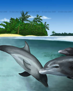 Dolphin Paradise