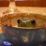 frog in a cup again