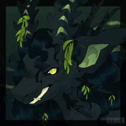 seaweed???