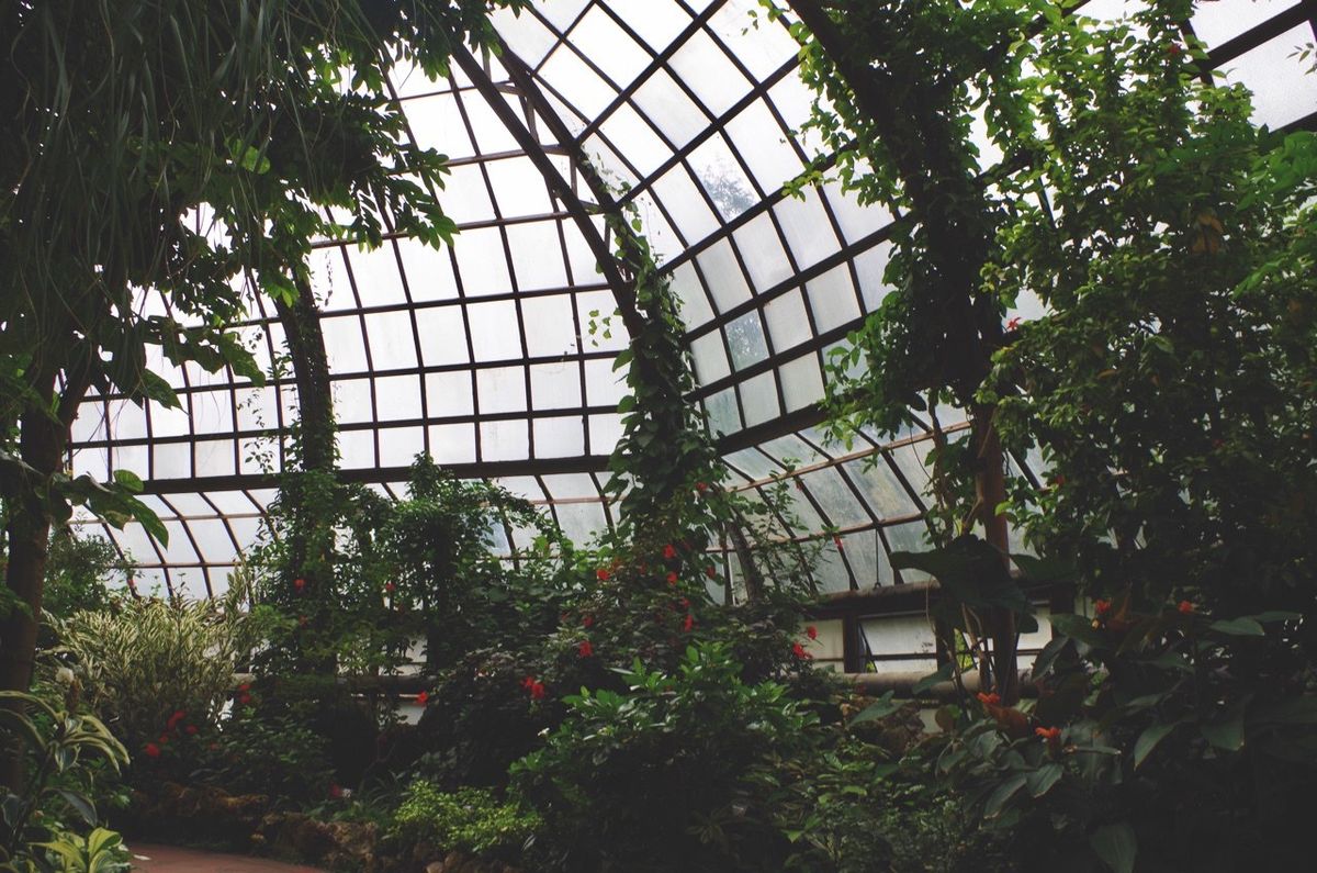Data Center Surplus Heat to Power Danish Greenhouse Project