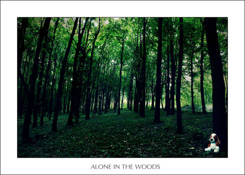 Alone in the woods