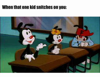 Animaniacs Meme 2