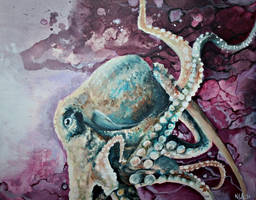 Red wine octopus