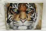 Tigre Indiana by FlorindaZanetti