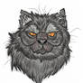 Yellowfang - Warrior Cats - Re-upload