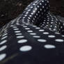 dots on boots