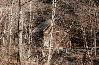 Creek Cabin