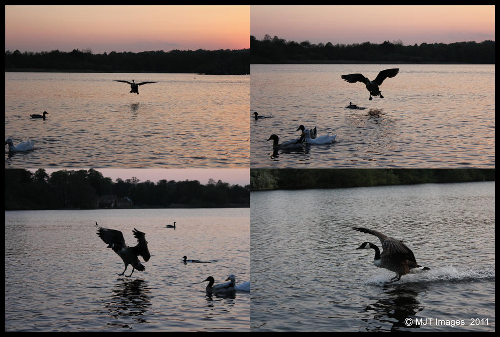 Sploosh by MichaelJTopley on DeviantArt