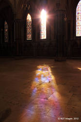 Morning Light Bathes The Cathedral