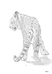 Tiger Sketch