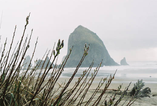 Cannon Beach