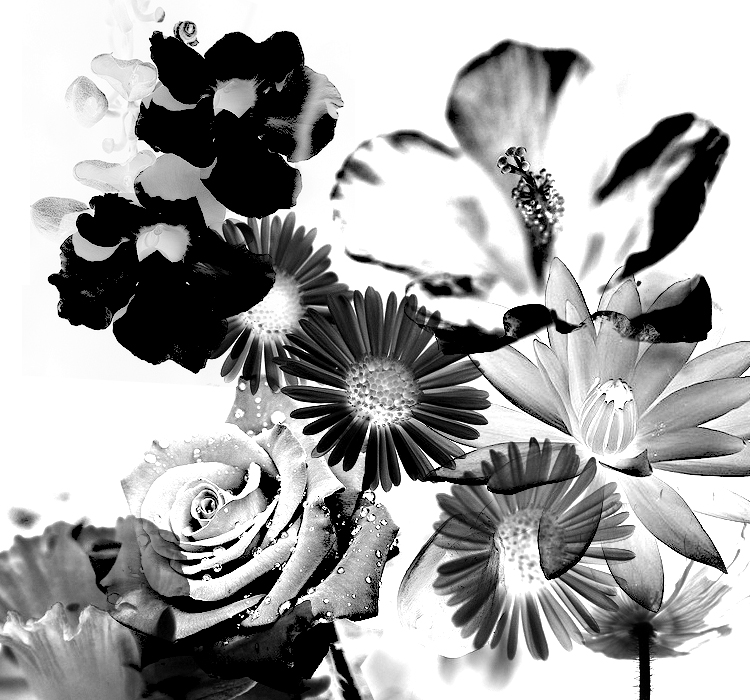 Artistic Floral by h0ttiee