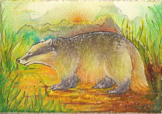 Tall Grass Tunnelling ACEO