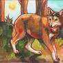 Warm Sun Rays ACEO