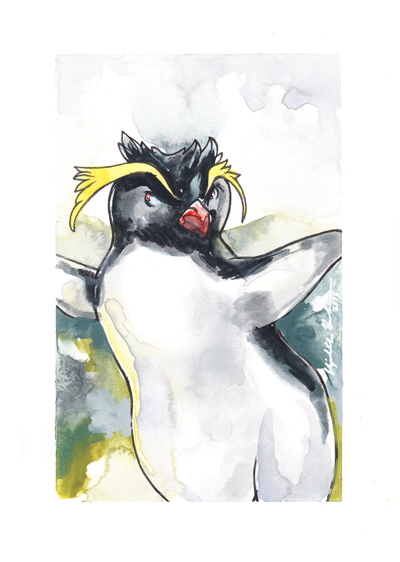 Rockhopper Penguin by LizBoudreauArt on DeviantArt
