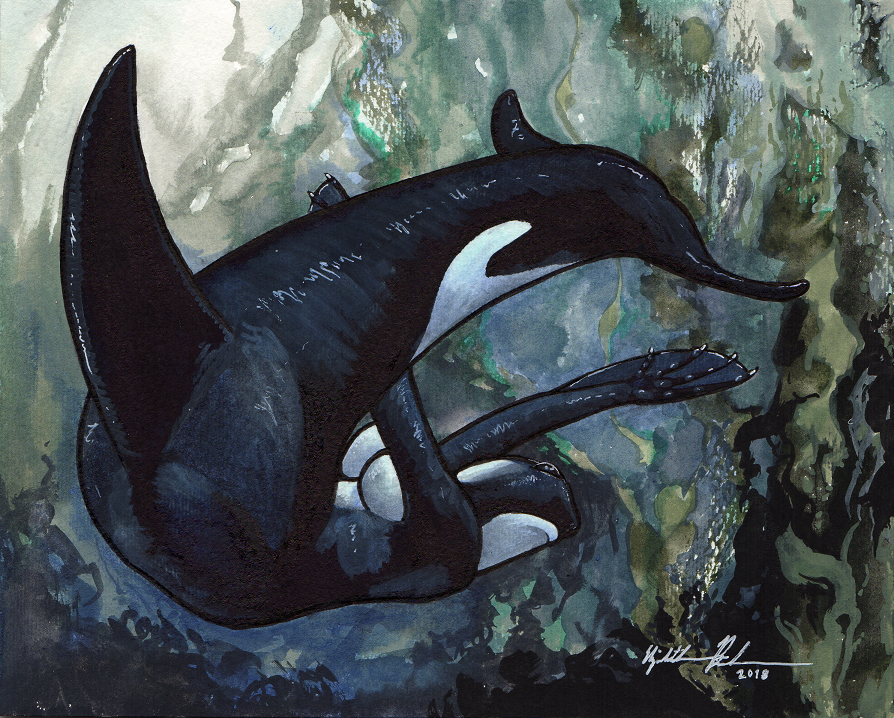 Orca Mermaid 2 by LizBoudreauArt on DeviantArt