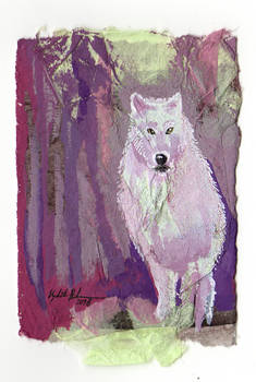 Collage White Wolf ACEO