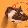 Bridled Weasel ACEO