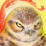 Burrowing Owl ACEO