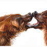 Bear Kisses