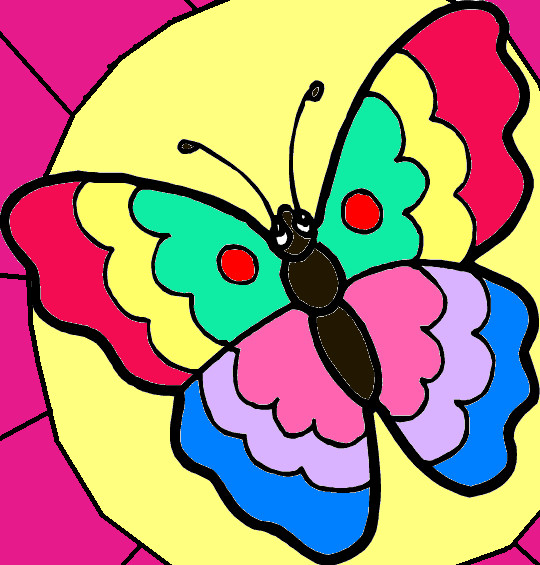 buttlefly on the flower