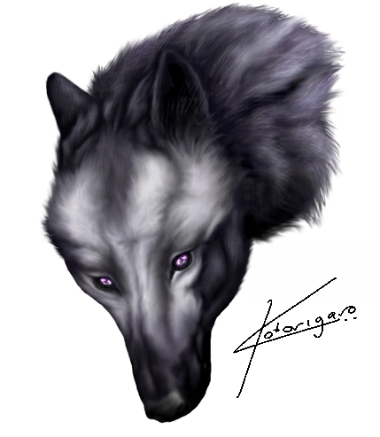 Black Wolf-Thing