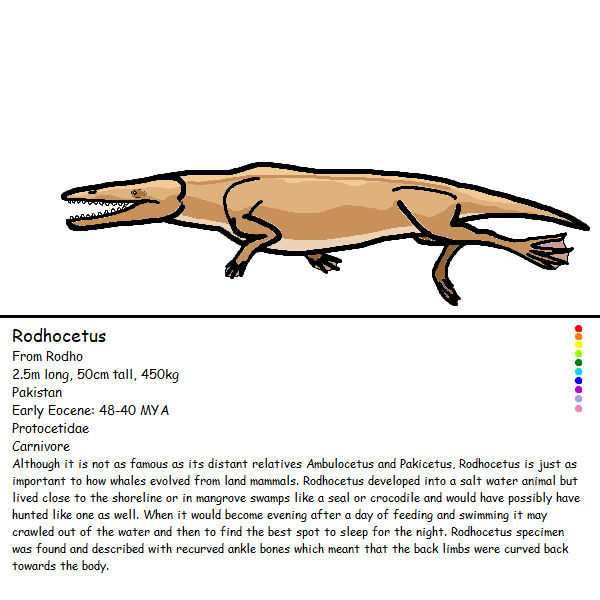 Rodocodox Rodhocetus by Whitedragon66 on DeviantArt