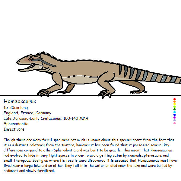 Homeosaurus Example Homeosaurus by Whitedragon66 on DeviantArt