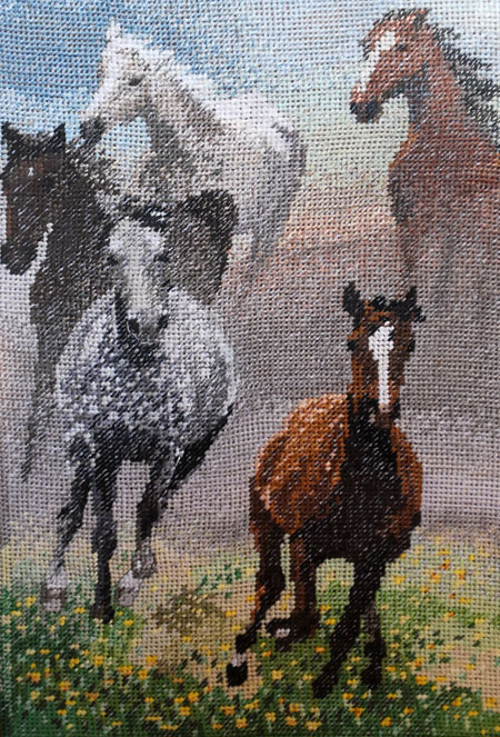 Canter by Zadumana Canter by Zadumana