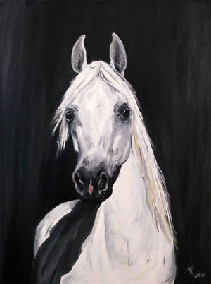 Grey by Zadumana Grey by Zadumana