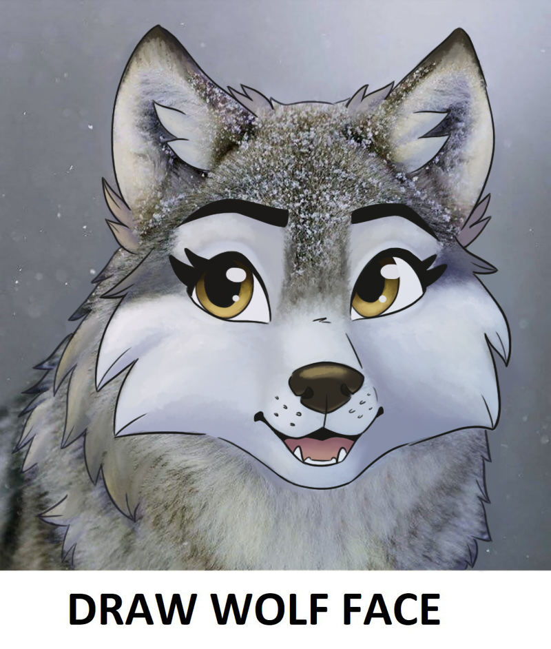 Draw Wolf Face Challenge by Bluefeathercat on DeviantArt