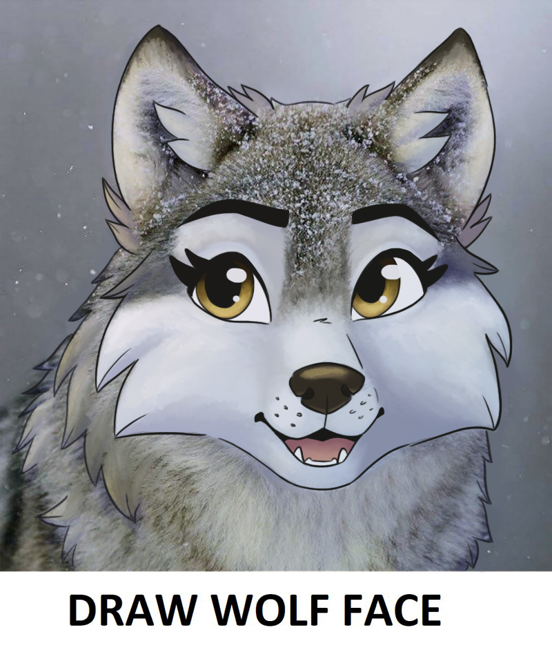 Draw Wolf Face Challenge by Bluefeathercat on DeviantArt Draw Wolf Face Challenge by Bluefeathercat on DeviantArt