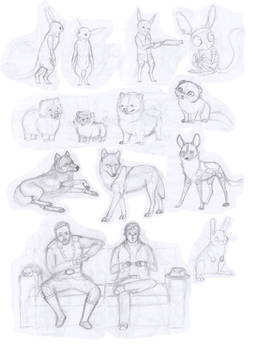 June 2010-Feb 2011 sketchdump