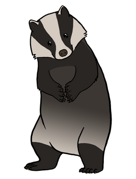 European Badger Does Care