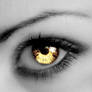 The Eye of a Cullen