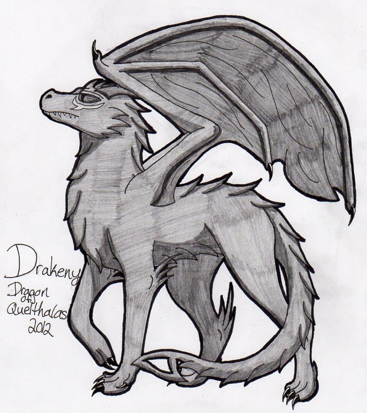 Christmas Sketches - Drakeny