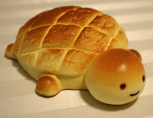 turtlepan