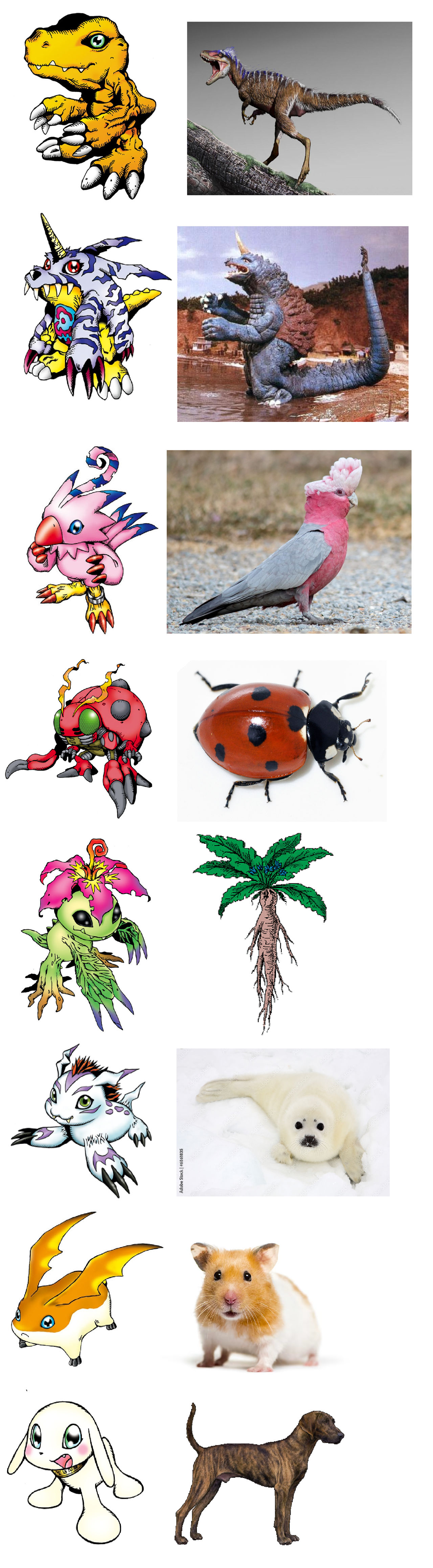 Digimon Inspirations n Based On (Adventure/Rookie) by CoDXros3 on ...