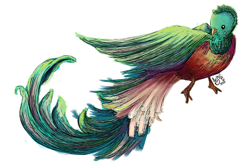 .:Quetzal:.